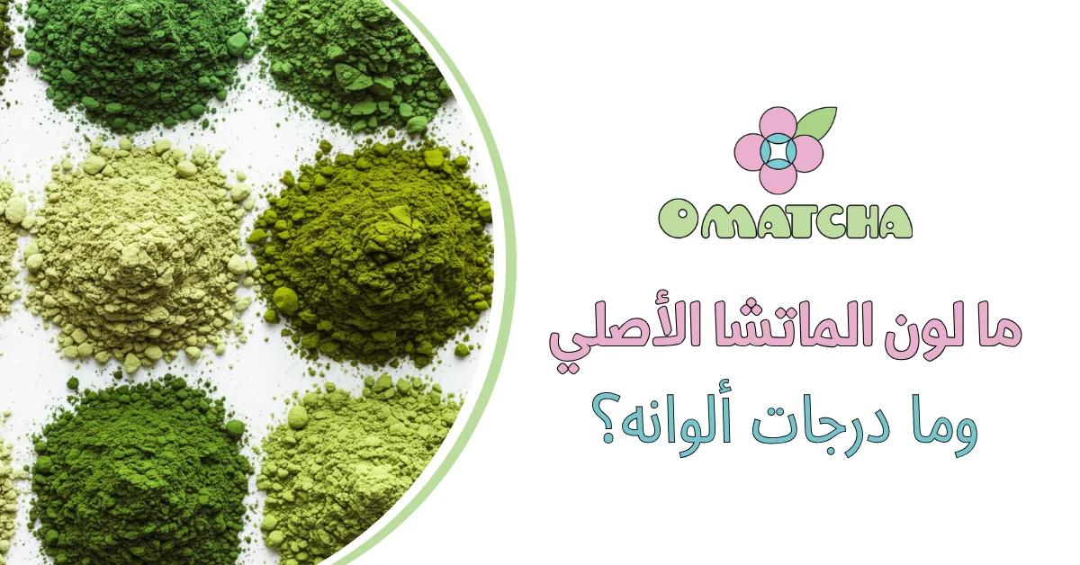 ما لون الماتشا الأصلي وما درجات ألوانه؟ - اوماتشا | O MATCHA