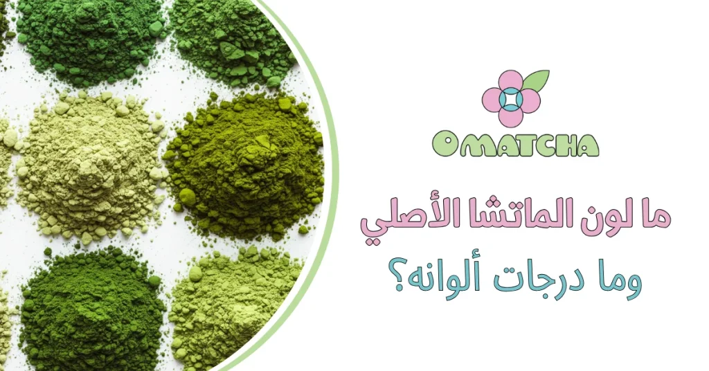 ما لون الماتشا الأصلي وما درجات ألوانه؟